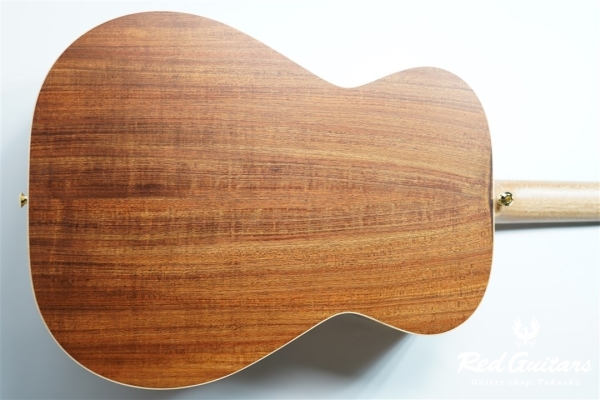 EBG808 ARTIST